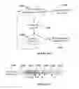 Fig. 08 - Communication on licensed and unlicensed bands