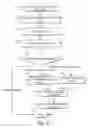 Fig. 08 - Adaptive resolution of domain name requests in virtual private cloud network environments