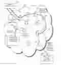 Fig. 01 - Fabric-based anonymity management, systems and methods