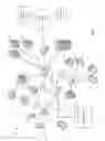 Fig. 09 - Tunneling for network deceptions