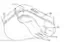 Fig. 01 - Optical accessory for attachment to mobile device