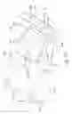 Fig. 69 - Optical accessory for attachment to mobile device