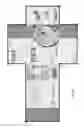 Fig. 12 - Predicting detectability and grading prior to printing