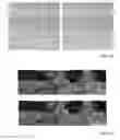 Fig. 07 - Device having cameras with different focal lengths and a method of implementing cameras with different focal lengths