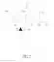 Fig. 03 - Image sensor with pixel binning device