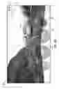 Fig. 08 - Portable Device for Multi-Stream Video Recording
