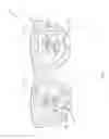 Fig. 04 - Visual coding for sensitivities to light, color and spatial resolution in human visual system