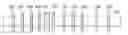 Fig. 01 - Temporal placement of a rebuffering event