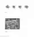 Fig. 02 - METHOD FOR PROPAGATION OF POPLAR TREE FROM LEAF CUTTINGS