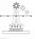 Fig. 01 - Modular LED Grow Light System to Optimize Light Distribution and Integrate Natural Light