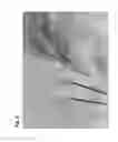 Fig. 04 - Micropropagation of T-R date palm