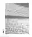 Fig. 06 - Micropropagation of T-R date palm