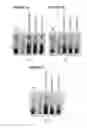 Fig. 02 - Reduction of erythrocyte sedimentation rate