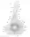 Fig. 01 - Bra with stretch support