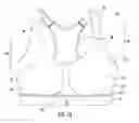 Fig. 02 - Bra with stretch support