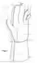 Fig. 02 - Welding glove