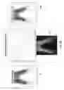 Fig. 17 - Laser finishing of apparel