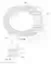 Fig. 13 - REMOVABLE CHIN STRAP FOR A HAT'S BRIM