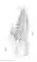 Fig. 02 - Footwear article having cord structure