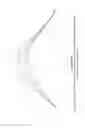 Fig. 20 - SHOES WITH ORTHOTIC ARCH SUPPORT