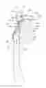 Fig. 01 - Oral care implement