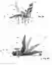 Fig. 04 - Ergonomic smart chair and mobility system and use thereof