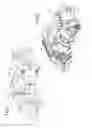 Fig. 09 - BREWING UNIT FOR A BEVERAGE PRODUCING MACHINE AND MACHINE CONTAINING THE BREWING UNIT