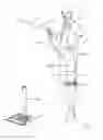 Fig. 25 - Upright vacuum cleaner