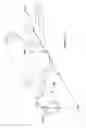 Fig. 06 - Endoscope sheath arm