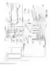 Fig. 77 - OPTICAL ASSEMBLY PROVIDING A SURGICAL MICROSCOPE VIEW FOR A SURGICAL VISUALIZATION SYSTEM