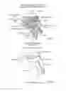 Fig. 06 - Devices, Methods, and Systems for Acquiring Medical Diagnostic Information and Provision of Telehealth Services