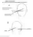 Fig. 23 - Devices, Methods, and Systems for Acquiring Medical Diagnostic Information and Provision of Telehealth Services