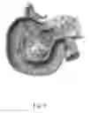 Fig. 05 - METHOD FOR EVALUATING OPERATIONAL PERFORMANCE OF A BIOLOGICAL SYSTEM AND APPARATUS FOR FETCHING DATA REQUIRED THEREFOR