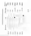 Fig. 04 - Method and apparatus for analysing changes in the electrical activity of a patient's heart in different states