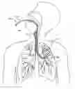 Fig. 01 - Methods and systems for endobronchial diagnostics