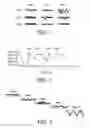 Fig. 02 - Sleep study system and method