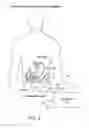 Fig. 07 - Swallowable capsule, system and method for measuring gastric emptying parameters