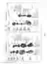 Fig. 06 - Method for standardizing target lesion selection and tracking on medical images
