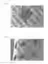 Fig. 03 - Echogenic article with compound indentations
