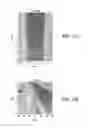 Fig. 22 - Systems and methods for automated fluid response measurement