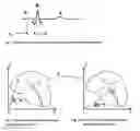 Fig. 02 - CALIBRATION OF TWO SYNCHRONIZED MOTION PICTURES FROM MAGNETOCARDIOGRAPHY AND ECHOCARDIOGRAPHY