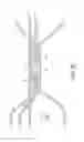 Fig. 06 - Locking suture construct