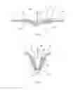 Fig. 03 - Tissue compression device for cardiac valve repair