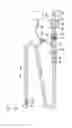 Fig. 10 - Medical device and treatment method