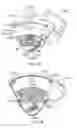 Fig. 19 - Surgical system instrument manipulator