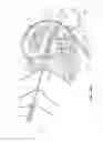 Fig. 09 - Nested needles for spinal cyst treatment