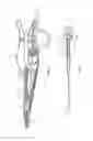Fig. 05 - Electrosurgical apparatus
