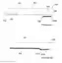 Fig. 05 - Methods and Apparatus for Pulsed Electric Field Neuromodulation Via an Intra-to-Extravascular Approach
