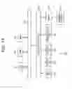 Fig. 16 - Device, method, and system for image guided surgical resection