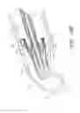 Fig. 33 - Body-inserted tube cleaning